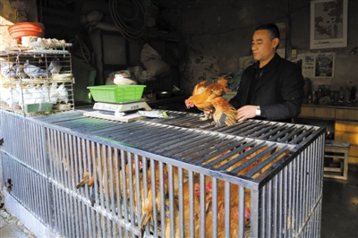 南京另一家農(nóng)貿(mào)市場內(nèi)待售的活雞。因南京出現(xiàn)H7N9禽流病例，買活雞的顧客減少。