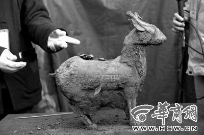 一件似羊似鹿的犧尊華麗亮相，可愛(ài)的造型“萌翻”現(xiàn)場(chǎng)。