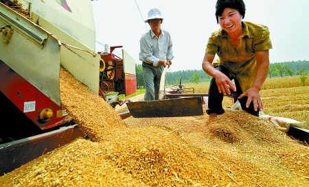 6月3日， 濮陽開發(fā)區(qū)胡村鄉(xiāng)后范莊村的續(xù)秀萍看著新打的粒大飽滿的小麥喜上眉梢。