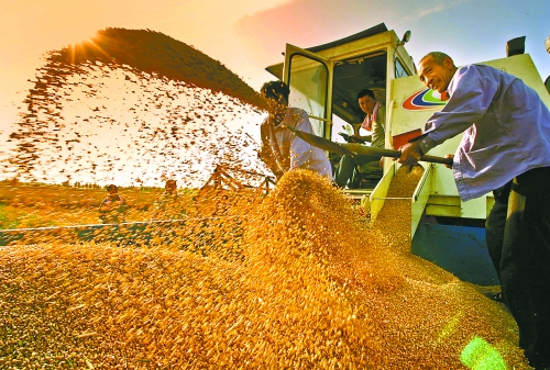 根據(jù)國家統(tǒng)計(jì)局核定結(jié)果，我省2012年糧食總產(chǎn)量達(dá)到1127.72億斤，成為第9個(gè)連續(xù)增產(chǎn)年份。