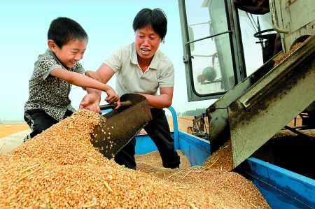 5月27日，確山縣劉店鎮(zhèn)前槽村郭景蓮和小孫子一起收獲小麥，豐收的喜悅寫(xiě)在了臉上。