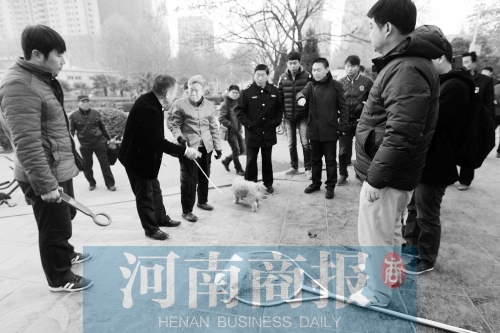 一只辦過狗證的小白狗，因?yàn)闆]有拴犬鏈，被執(zhí)法人員暫扣