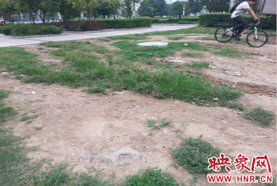 公園內(nèi)大片草坪遭到破壞。
