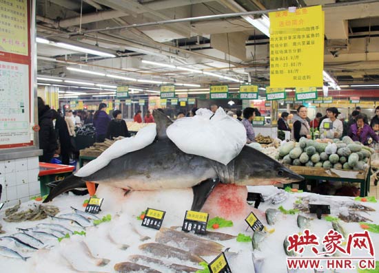 鄭州市一家超市海鮮區(qū)的冰架上赫然擺著一整條鯊魚在出售，鯊魚肉價格為23.80元每斤，遠低于牛羊肉的價