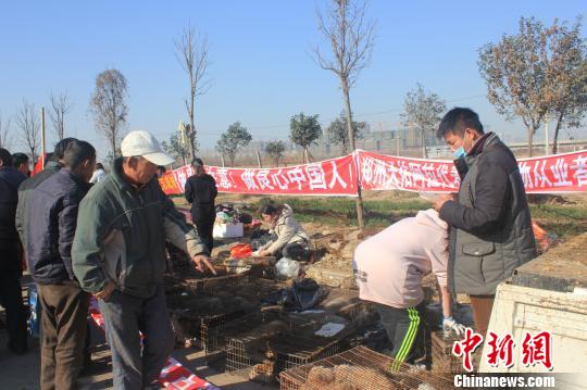 圖為百余名愛狗人士把老李的貨車攔截，數(shù)十人正在從貨車上卸下裝滿狗的鐵籠。　馬義恒　攝