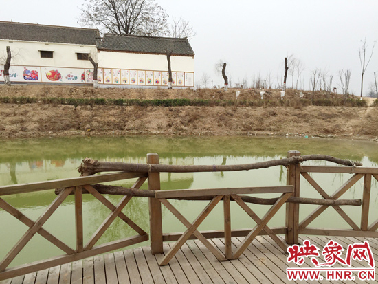 護(hù)欄損毀的地方，已經(jīng)被兩根樹(shù)干擋住。
