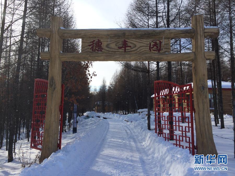 北山一隅的穗豐園（2013年12月8日攝）。新華社記者程子龍攝