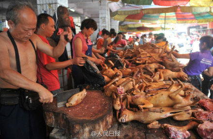 玉林狗肉節(jié)。
