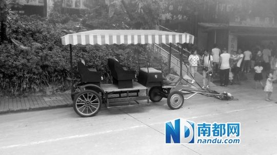園方則稱解剖后發(fā)現(xiàn)馬死于心臟衰竭，“與累無關(guān)”。
