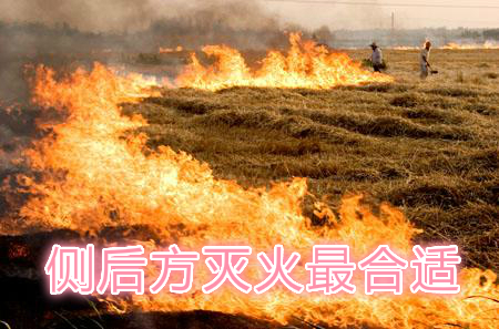 不要在風(fēng)頭上打火：風(fēng)正大，火正旺，最容易傷人；