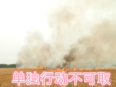 不要單獨(dú)一個人亂沖亂打：單獨(dú)行動被煙氣沖昏倒地，無人發(fā)覺被燒；