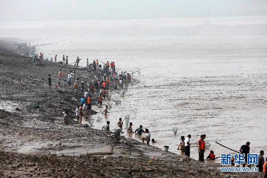 7月6日,在山西省平陸縣黃河岸邊,人們?cè)诤舆叢稉泣S河“流魚(yú)”。