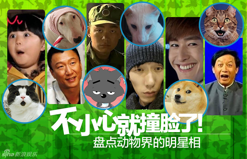不小心就撞臉了！盤點動物界的明星相