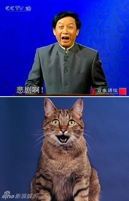 不小心就撞臉了！盤點動物界的明星相