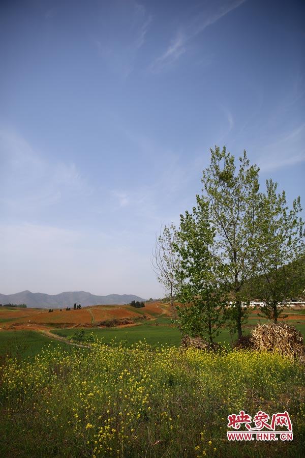 庫(kù)區(qū)的藍(lán)天、白云、綠樹、黃花給人清新的享受
