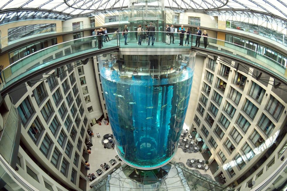 在圓柱水族館主體下方，還有一些別的展館。