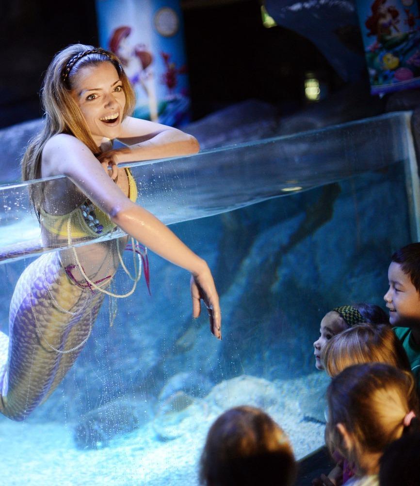 德國女演員安妮·門登在水族館里客串了一把“美人魚”，順便為她的電影《小美人魚》做宣傳。