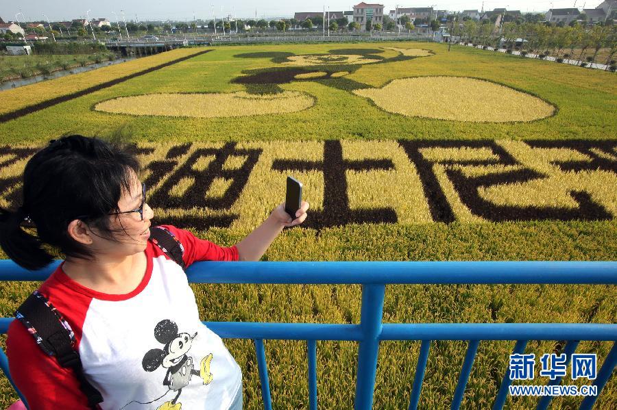 10月25日，游客在觀景臺(tái)上觀賞“米老鼠”稻田畫(huà)。