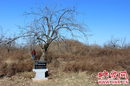 在叔齊墓的前面，豎著新鄭市人民政府今年剛立的石碑，上面寫著“新鄭市文物保護單位”。