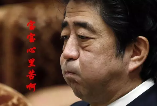 這種看安倍“熱鬧”的事兒，環(huán)環(huán)絕不私藏，一定雨露均沾!