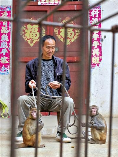 10月13日，耍猴人鮑慶山牽著從牡丹江帶回的兩只小猴在家門口玩耍。