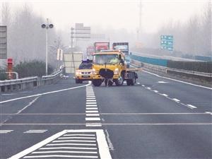 2米高鴕鳥撞破收費站護欄，高速上狂奔8公里。