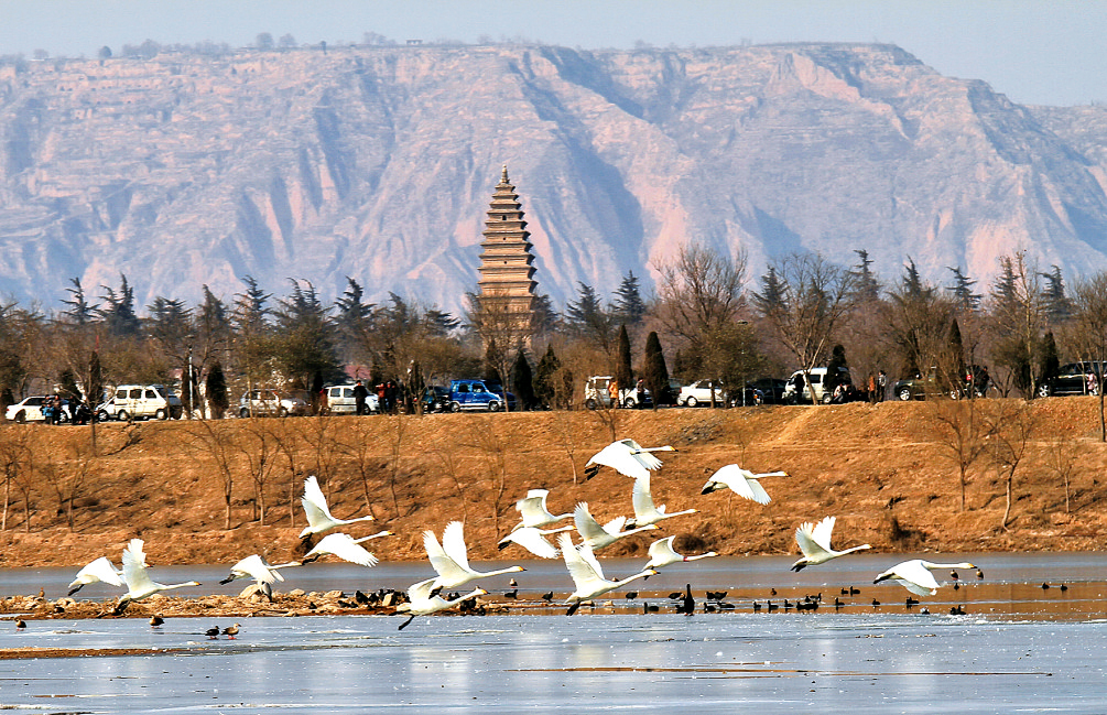 5月19日，“中國(guó)旅游日”河南分會(huì)場(chǎng)活動(dòng)將在天鵝之城——三門峽舉辦。