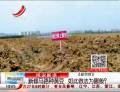 新修馬路種黃豆  如此做法為哪般？