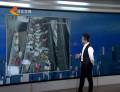 “大胃王”！ 狗狗吞下87只襪子