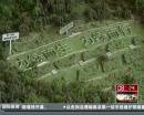 “垃圾場”拍婚紗：玩噱頭還是做環(huán)保？