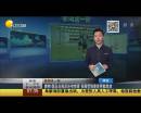 爽??！國足出線后還有驚喜 張稀哲狼堡首秀獻(xiàn)助攻