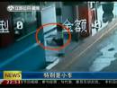 高速邊苦等十三天 主人你在哪里？