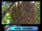 這看的 頭皮發(fā)麻呀！-打漁曬網(wǎng)