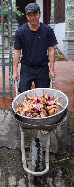 越南貓肉餐廳：將貓淹死、剝皮、切成小塊，再油炸